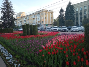 Глава Ингушетии решил приучать местных к красоте и труду фестивалем цветоводства