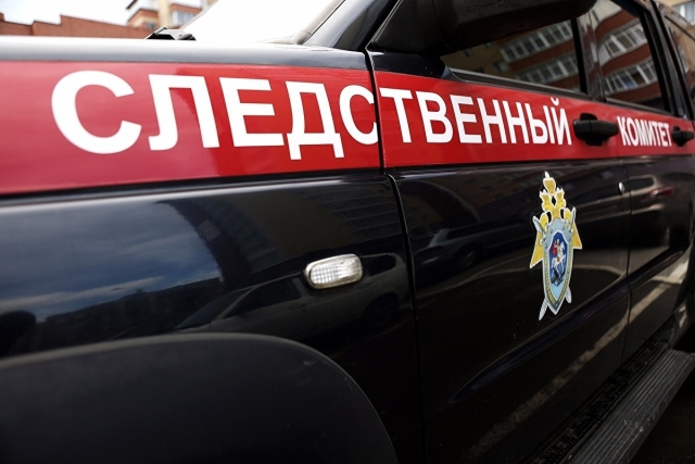 <i>В Ингушетии арестована подозреваемая в избиении 4-летней девочки горе-мать</i>