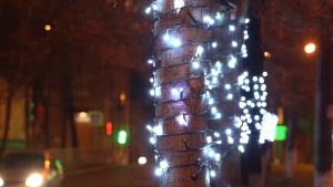 Представителям власти во Владикавказе стало обидно из-за оборванной подсветки деревьев