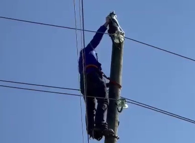 <i>Спасти рядового Мусю: В Дагестане электрик надел «когти» и снял кошку с опоры ЛЭП</i>