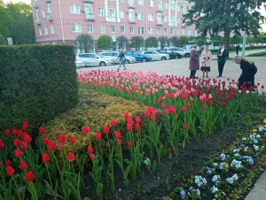 Мэр Ставрополя поздравил местных жителей с Днем города