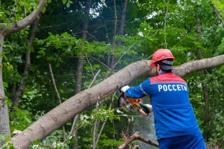 Свыше 333 га трасс ЛЭП освободили энергетики &quot;Россети Северный Кавказ&quot; от опасной растительности