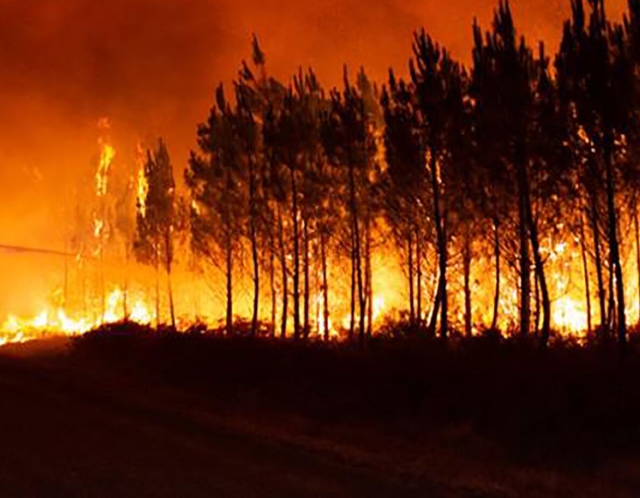 <i>В лесах Ставрополя усилили меры пожарной безопасности</i>
