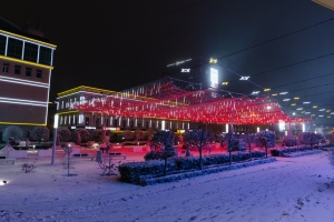 Аллея из 132 светодиодных деревьев появится в центре Ставрополя