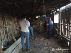 В Дагестане фермер организовал полный цикл заготовки наркотического средства