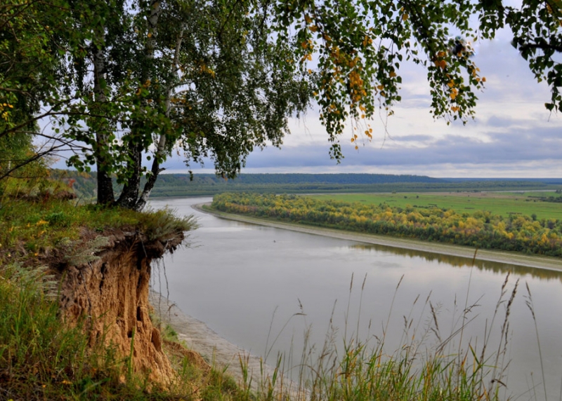 На крутых берегах рек