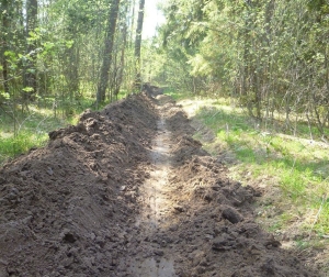 В лесах Ставрополя подготовили 150 км защитных полос