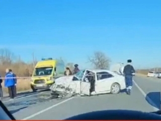 Лошадь на Алагирской трассе в Северной Осетии стала причиной ДТП с четырьмя погибшими