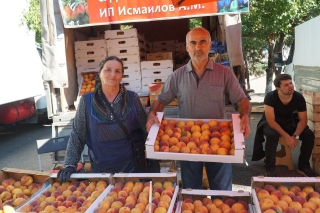 В Махачкале организуют ночные сельхозярмарки