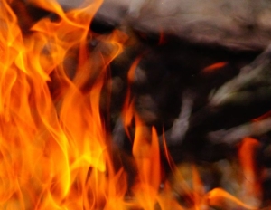 В августе в Ставрополе произошло 9 ландшафтных пожаров