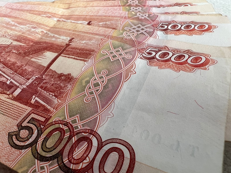 На Ставрополье директор МУПа незаконно премировал себя на 680 тысяч рублей