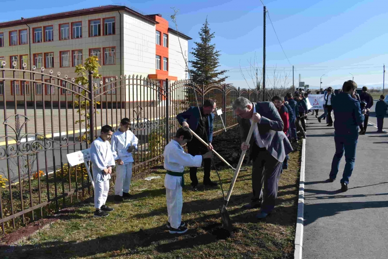 Саженцы посадили около местной школы