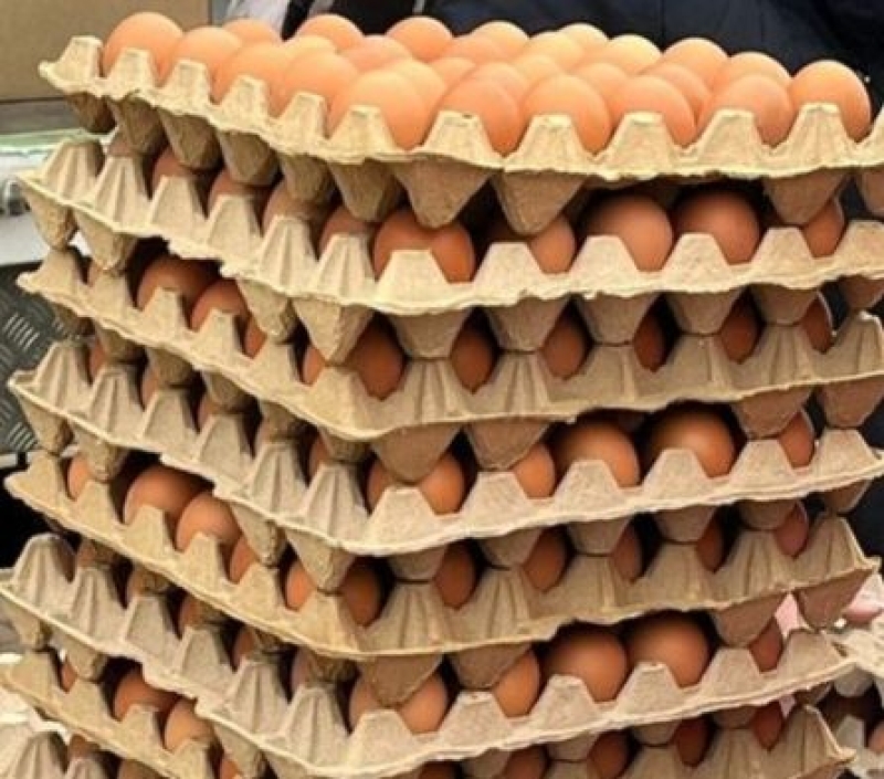 На Ставрополье профинансировали проект по производству куриных яиц на ₽160 млн