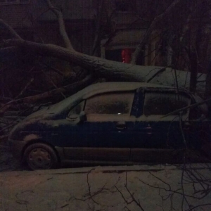 Ставропольцев просят отказаться от поездок из-за сильного ветра и снега 15-16 января