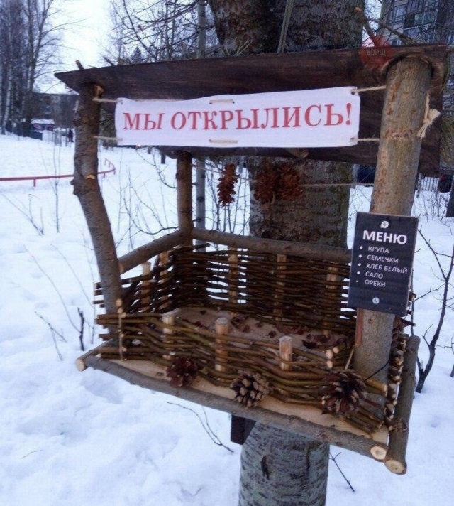 <i>В Кисловодске юннаты открыли десятки кормушек для птиц</i>