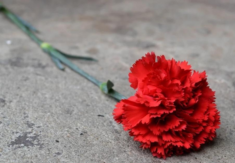 В память о мэре Ставрополя горожане несут цветы к администрации