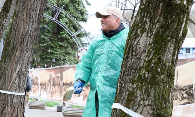 Вместе с коллегами из полпредства Александр Матовников белил деревья