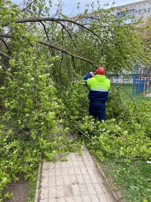 В Ставрополе из-за сильного ветра отложат высотные работы