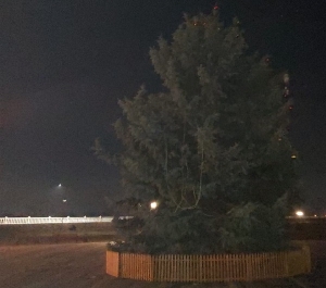 В Баксане установили самую высокую новогоднюю ёлку в Кабардино-Балкарии