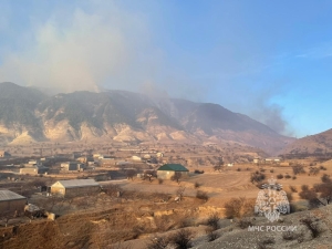 Лесной пожар в Левашинском районе Дагестана тушат неделю