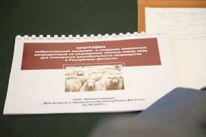 В Дагестане займутся разведением овец на основе эмбриональной селекции