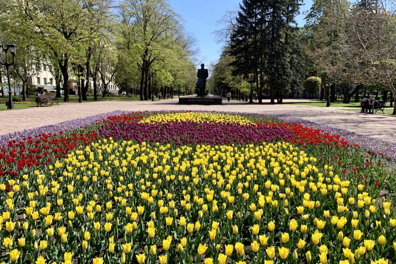 В прошлом году озеленители Ставрополя высадили около 600 тысяч цветов