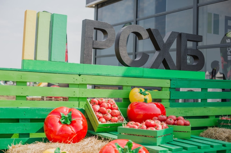 Россельхозбанк и «ЭКО-культура» открыли первый в России Фестиваль томата