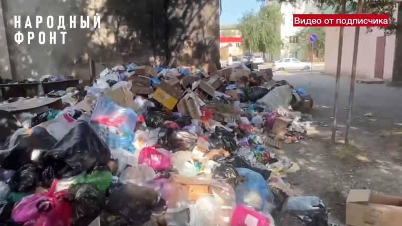 Жители Кизилюрта пожаловались общественникам на мусорное зловоние