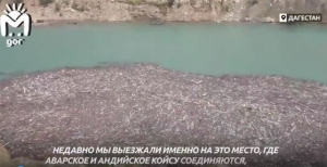 Соцсети показали мусорный коллапс на горных реках Дагестана