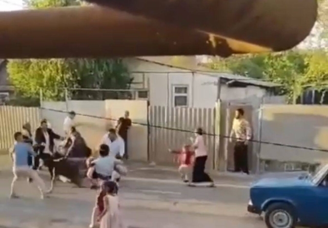 <i>Полиция опровергла видео с дракой, якобы произошедшей в Благодарненском округе</i>