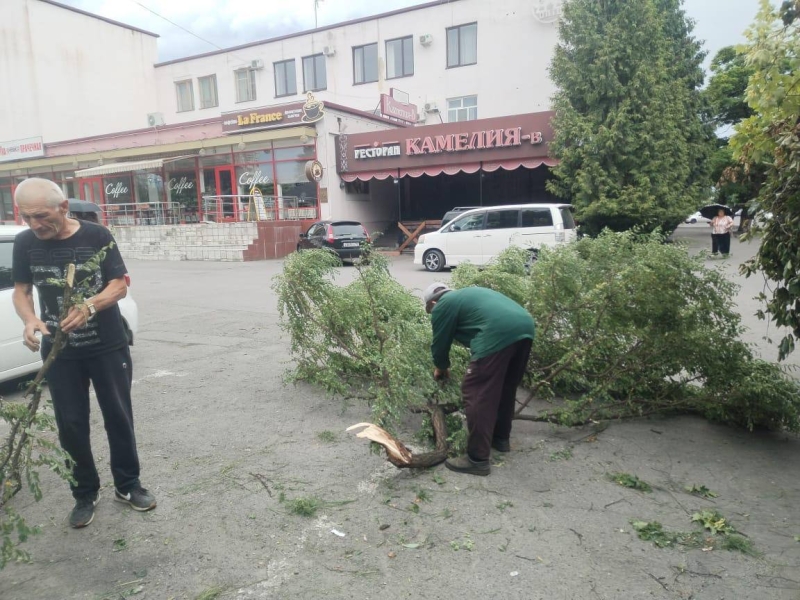Во Владикавказе после разгула стихии поваленными остались десятки деревьев