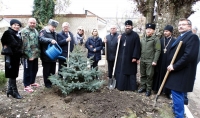 Павловские казаки присоединились к эколого-патриотической акции &quot;Лес Победы&quot;