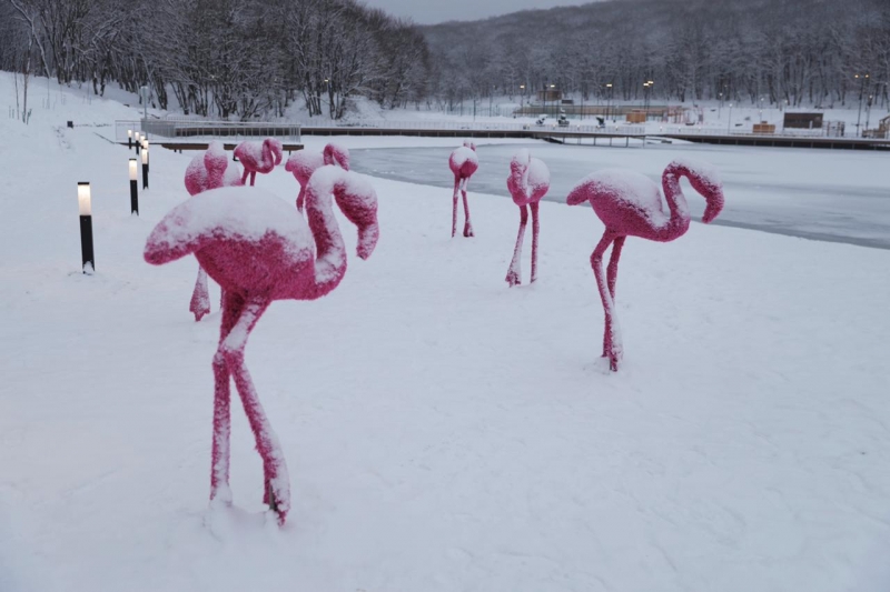 Окрестности Комсомольского озера в Ставрополе украсили 12 топиарных фигур