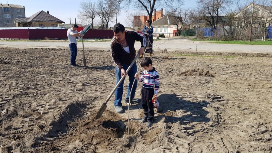 Представители цыганской общины внесли вклад в озеленение территории села Солдато-Александровского
