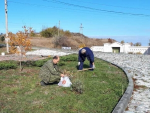 Жительница Ставрополья подарила Крыму сиреневый сад в честь деда