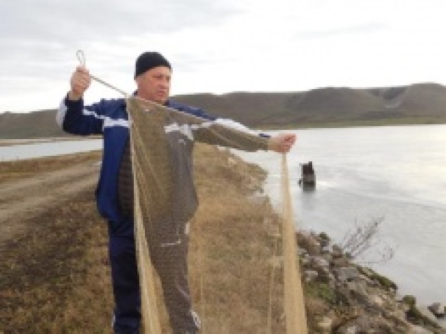 <i>На Ставрополье лучший по профессии рыбак в свободное время разводит голубей</i>