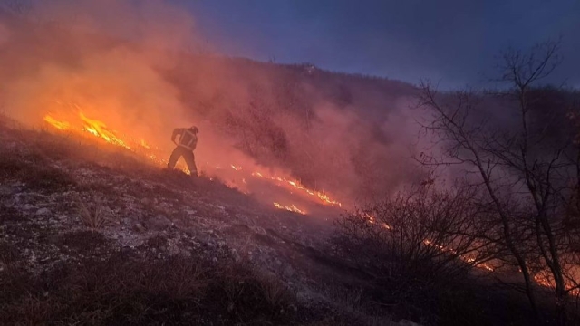 <i>Мэр Пятигорска проанализировал статистику возгораний на Машуке</i>