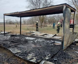 В Будённовске неизвестные сожгли приют для бездомных животных