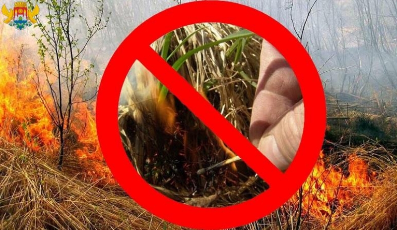 Посещая лес, строго соблюдайте правила пожарной безопасности!