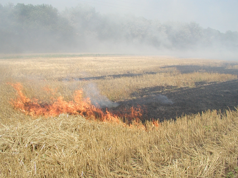 Пожарные противостоят ландшафтному пожару в Ставрополе