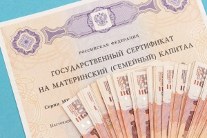 С начала года в Ставропольском крае обладателями маткапитала стали 11 379 семей