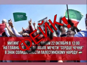Глава минпечати Чечни опроверг митинги в поддержку Палестины