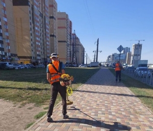 В Ставрополе скосили амброзию на 70 гектарах