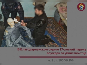 На Ставрополье осужден подросток за убийство отца топором