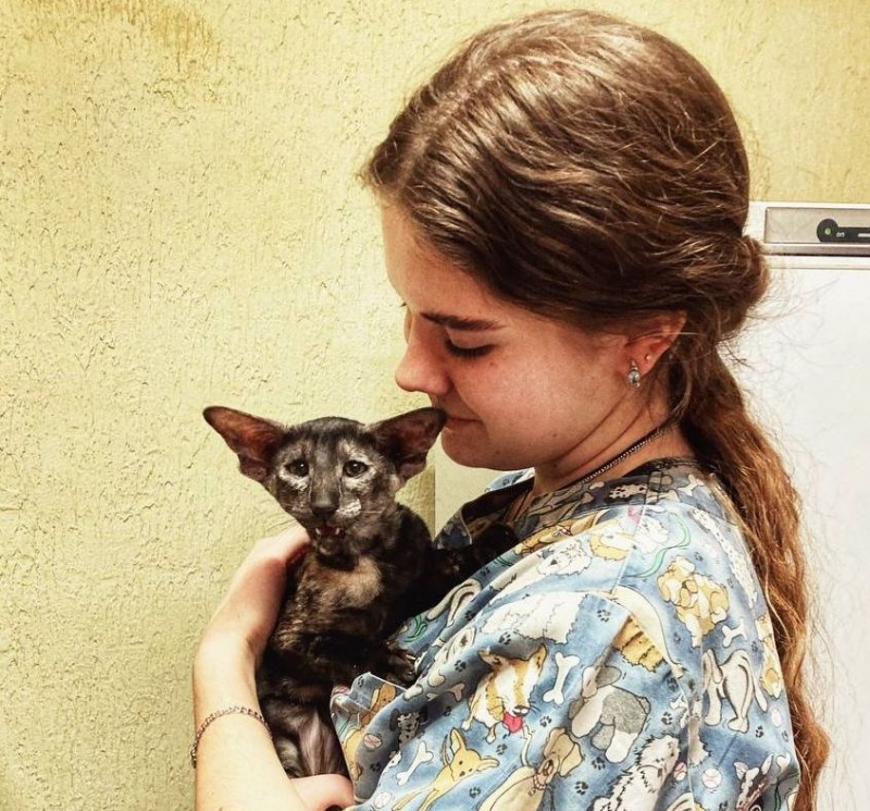 Лучшим молодым ветеринаром на Ставрополье стала Анна Капустина из села Винсады