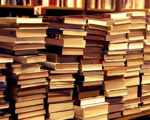 Книголюбам Ставрополя в библиотеках предлагают свободный доступ в «ЛитРес»