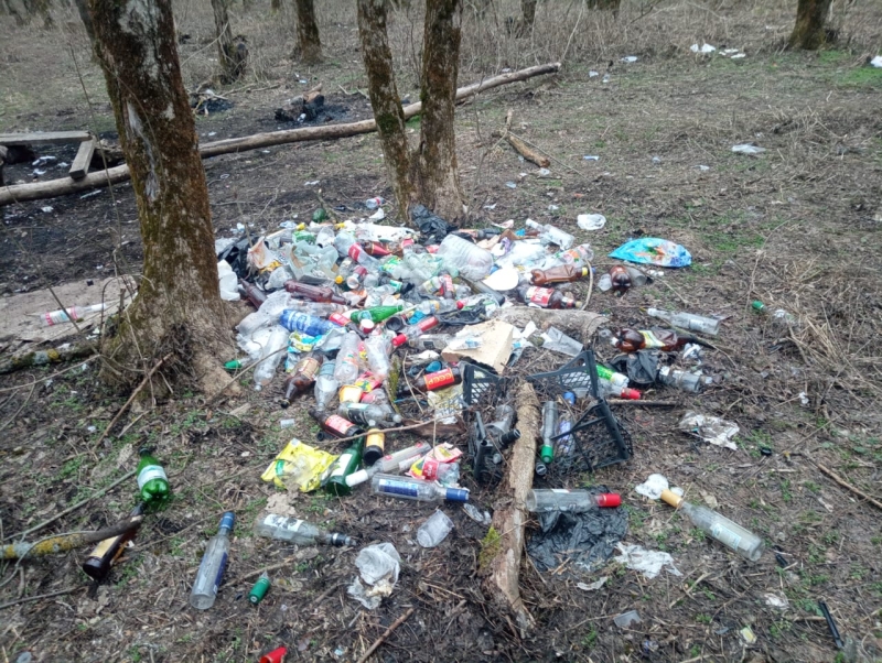Губернатор поручил разобраться с мусорными свалками в Ставрополе