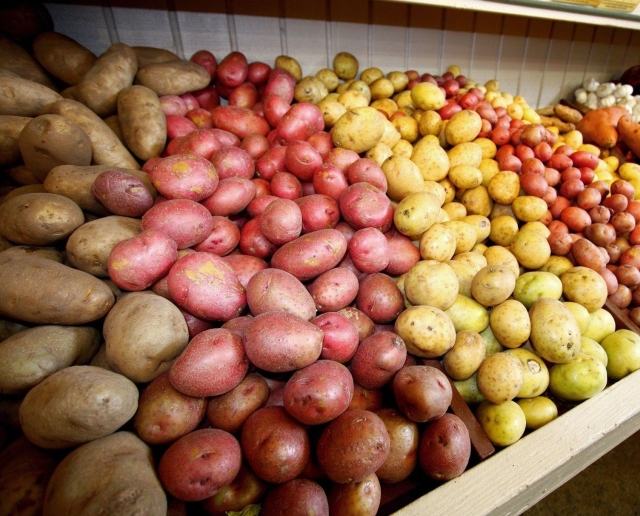 <i>Жители Ставрополя смогут впрок закупить картофель на ярмарках 1-2 октября</i>