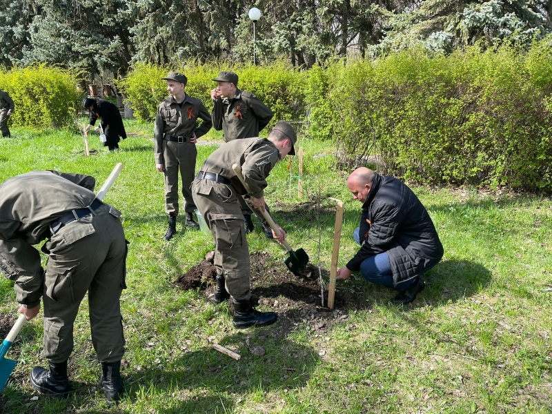 В Железноводске высадили «Сад памяти» - березовую аллею   