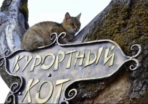 Власти Железноводска анонсировали переселение котов в новые апартаменты